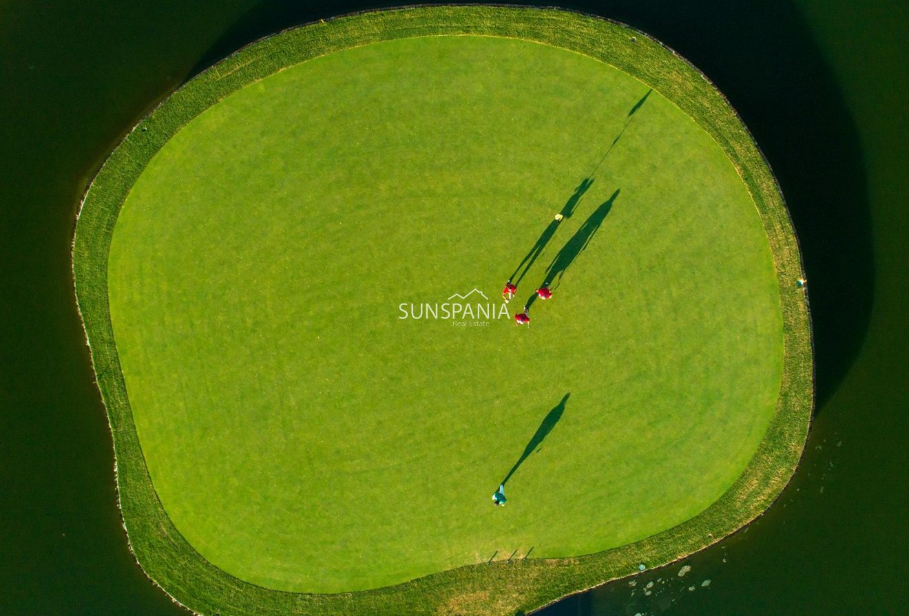 Obra nueva - Chalet -
Pilar de la Horadada - Lo Romero Golf