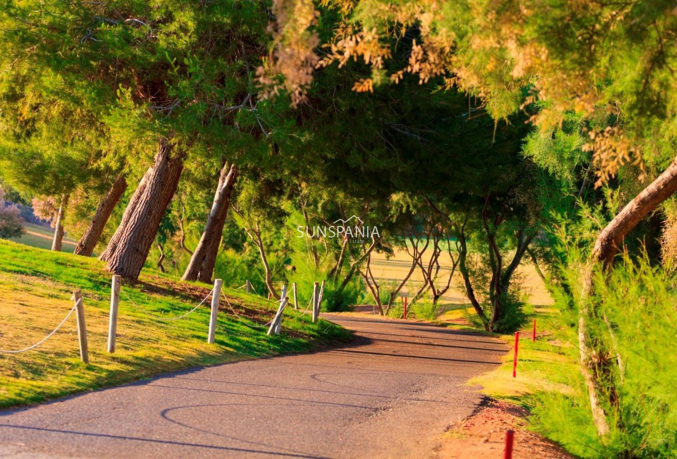 Obra nueva - Chalet -
Pilar de la Horadada - Lo Romero Golf