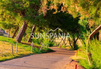 Obra nueva - Chalet -
Pilar de la Horadada - Lo Romero Golf