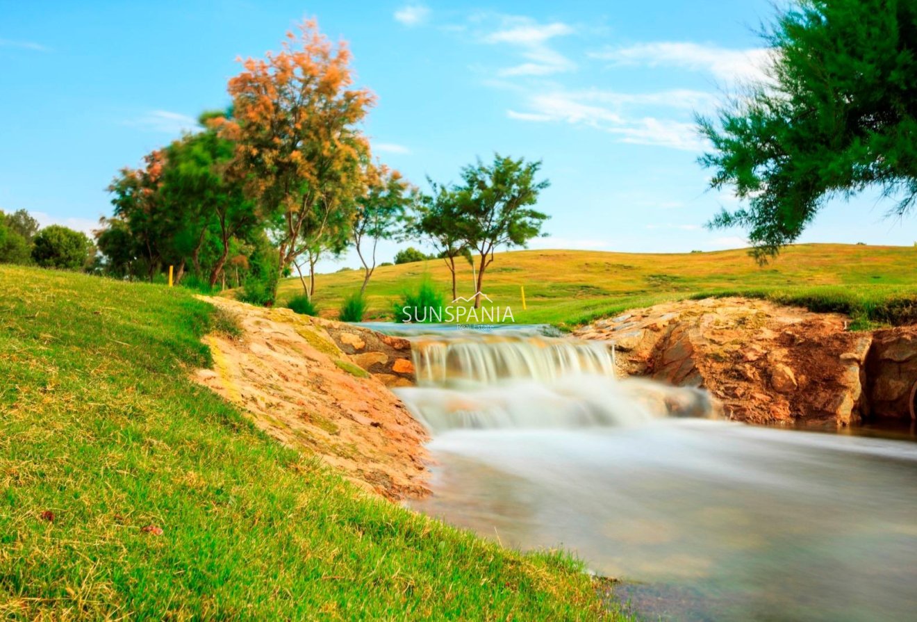 Obra nueva - Chalet -
Pilar de la Horadada - Lo Romero Golf