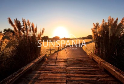 Obra nueva - Chalet -
Pilar de la Horadada - Lo Romero Golf