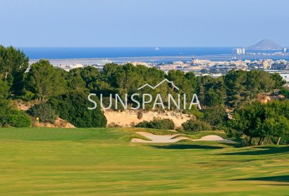 Obra nueva - Chalet -
Pilar de la Horadada - Lo Romero Golf