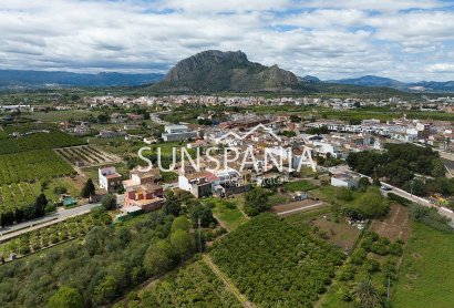 Obra nueva - Chalet -
Els Poblets - Partida Barranquets