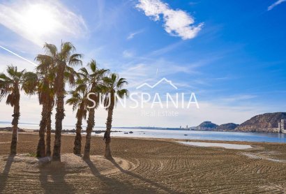 Obra nueva - Chalet -
Els Poblets - Partida Barranquets