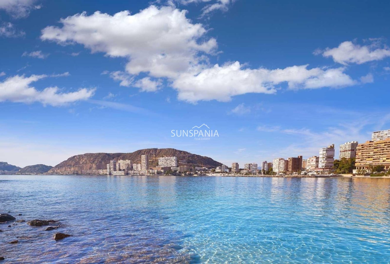 Obra nueva - Chalet -
Els Poblets - Partida Barranquets