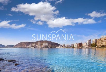 Obra nueva - Chalet -
Els Poblets - Partida Barranquets