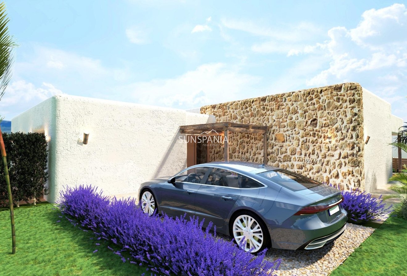 Obra nueva - Chalet -
Pinoso - Rodriguillo