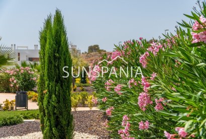 Obra nueva - Adosado -
Orihuela - Vistabella Golf