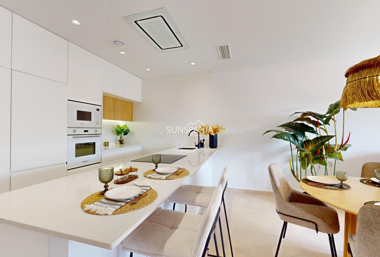 New Build - Apartment -
Guardamar del Segura - El Raso