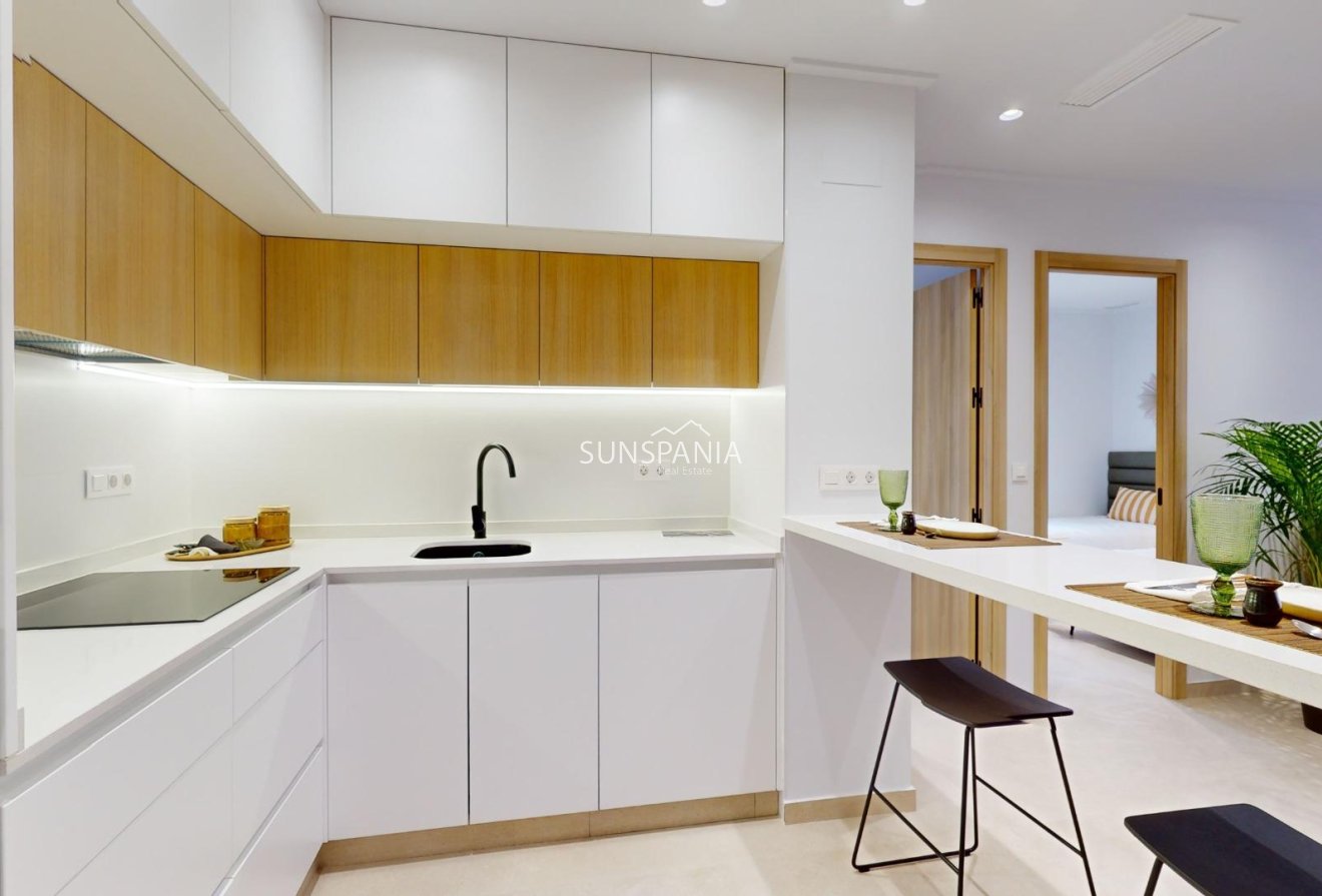 Obra nueva - Piso -
Guardamar del Segura - El Raso