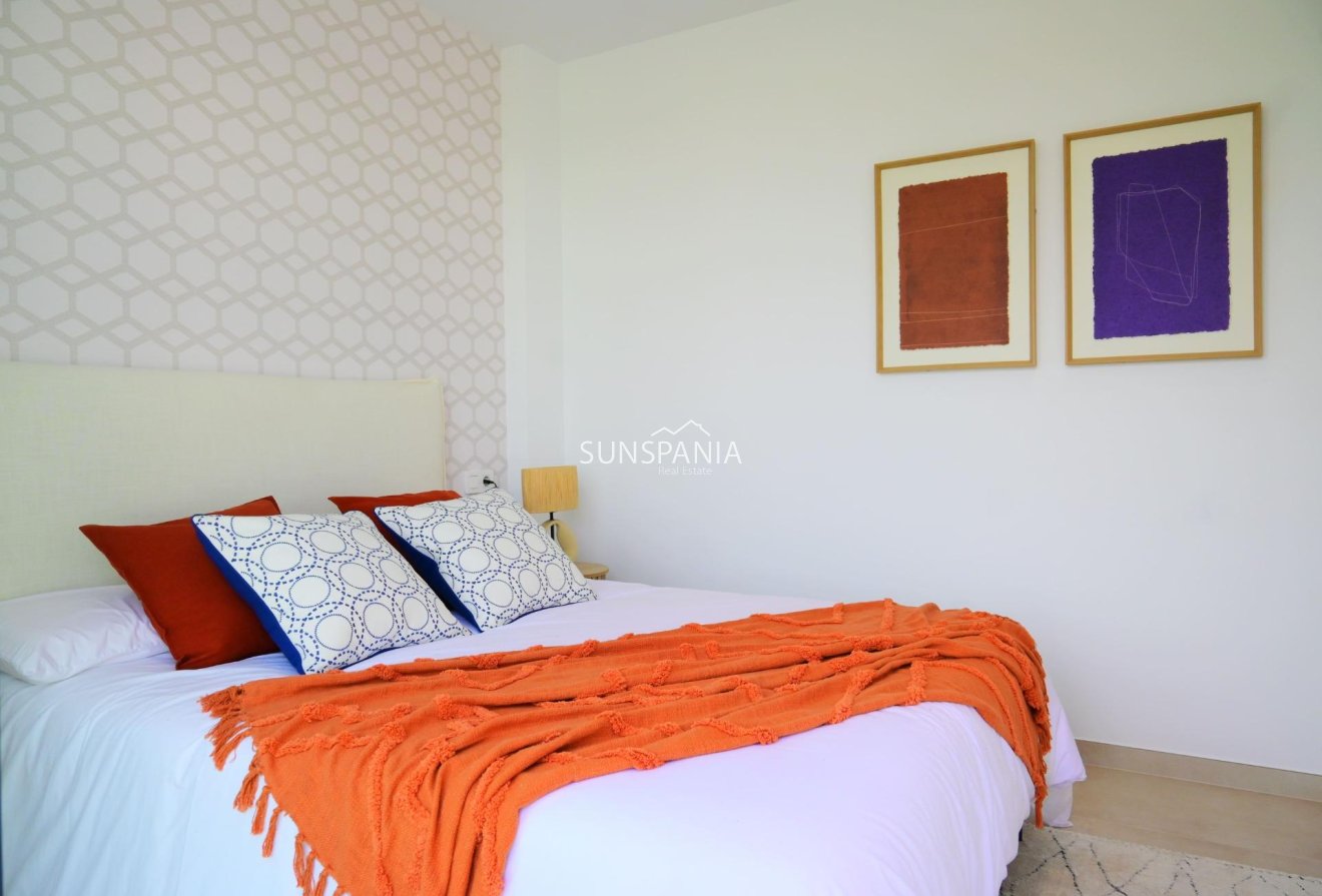 Obra nueva - Chalet -
Dolores - polideportivo