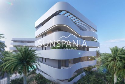 Obra nueva - Ático -
Guardamar del Segura - El Raso