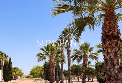 Obra nueva - Chalet -
San Fulgencio - La Escuera