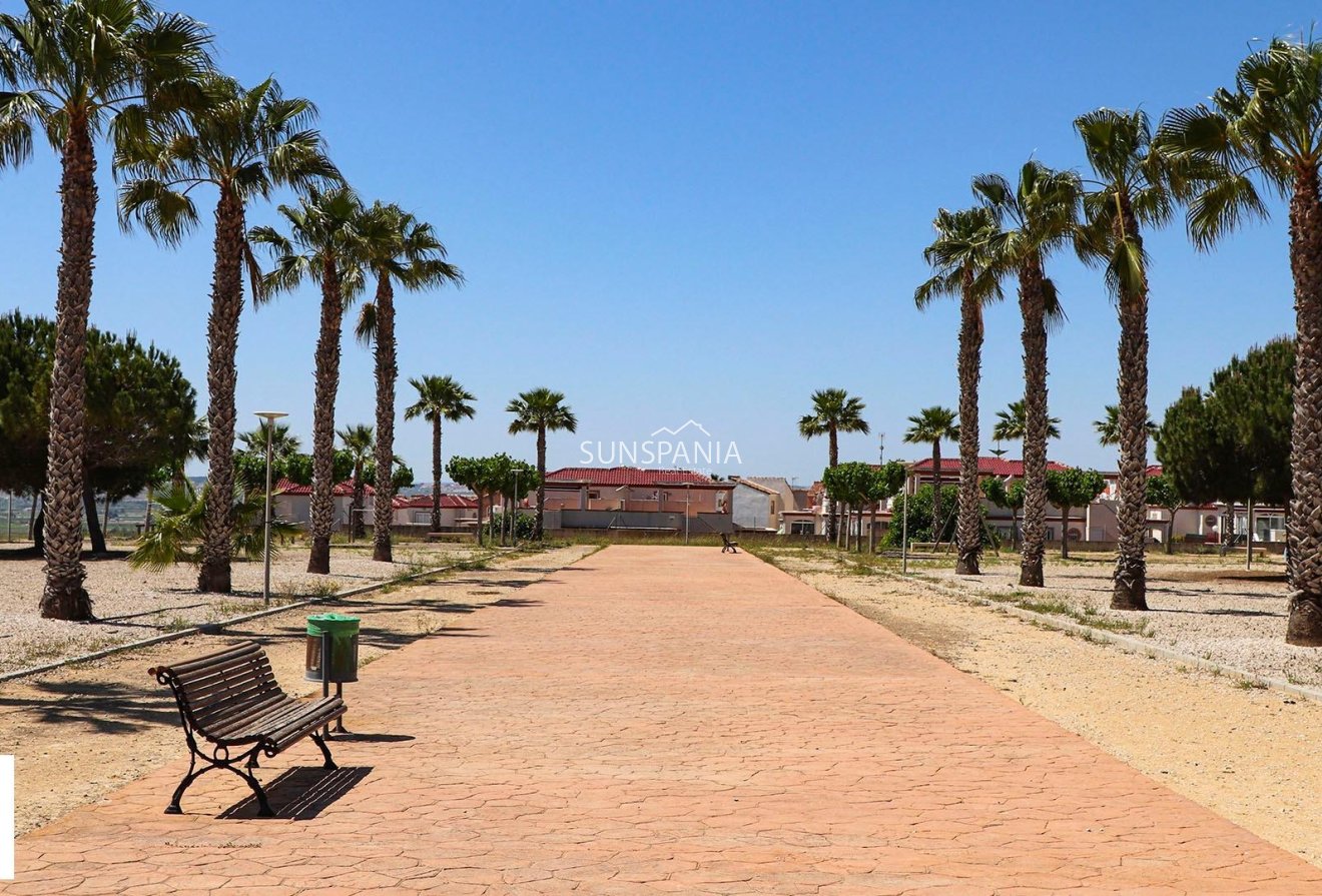 Obra nueva - Chalet -
San Fulgencio - La Escuera