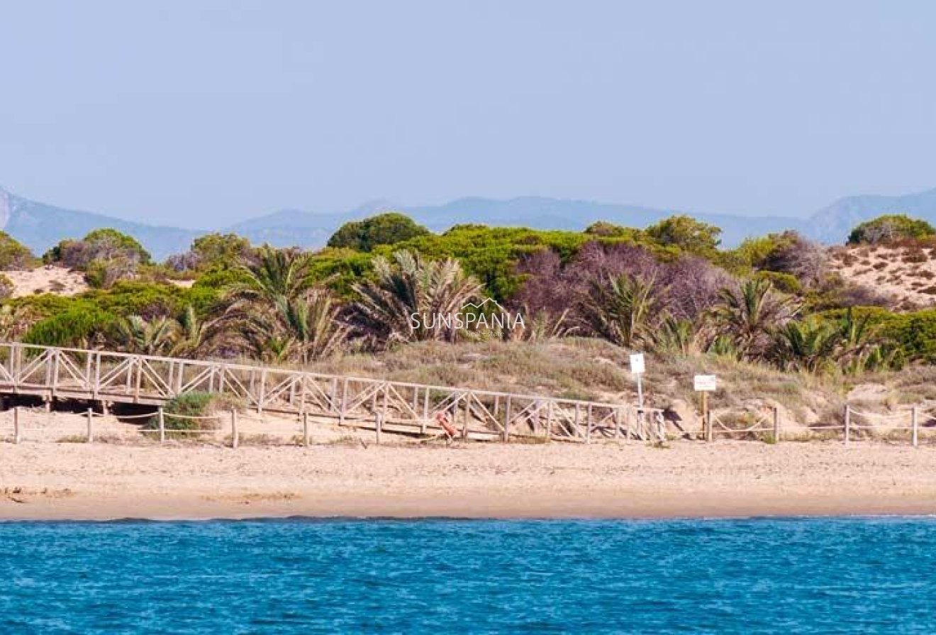 Obra nueva - Ático -
Guardamar del Segura - Pueblo