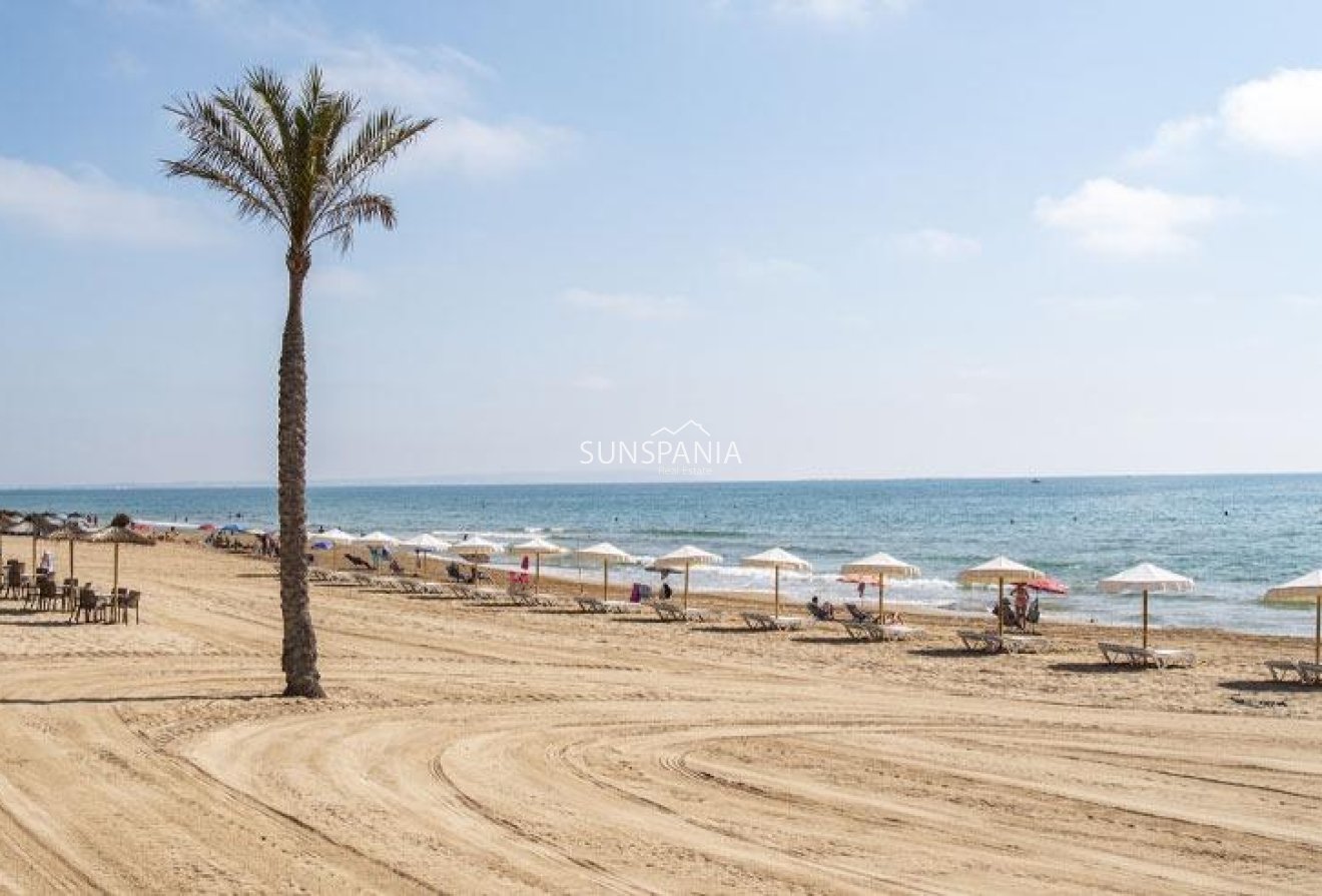 Obra nueva - Ático -
Guardamar del Segura - Pueblo