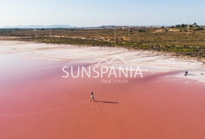 Obra nueva - Piso -
Torrevieja - Habaneras