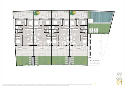 Obra nueva - Piso -
San Pedro del Pinatar - Los Cuarteros