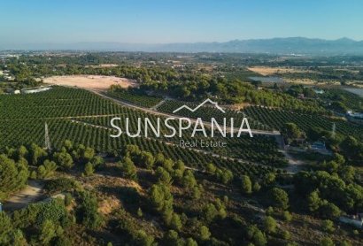 Obra nueva - Ground floor apartment -
Godella - Campolivar