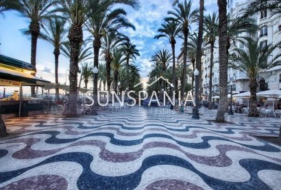 Obra nueva - Piso -
Alicante - Benalua