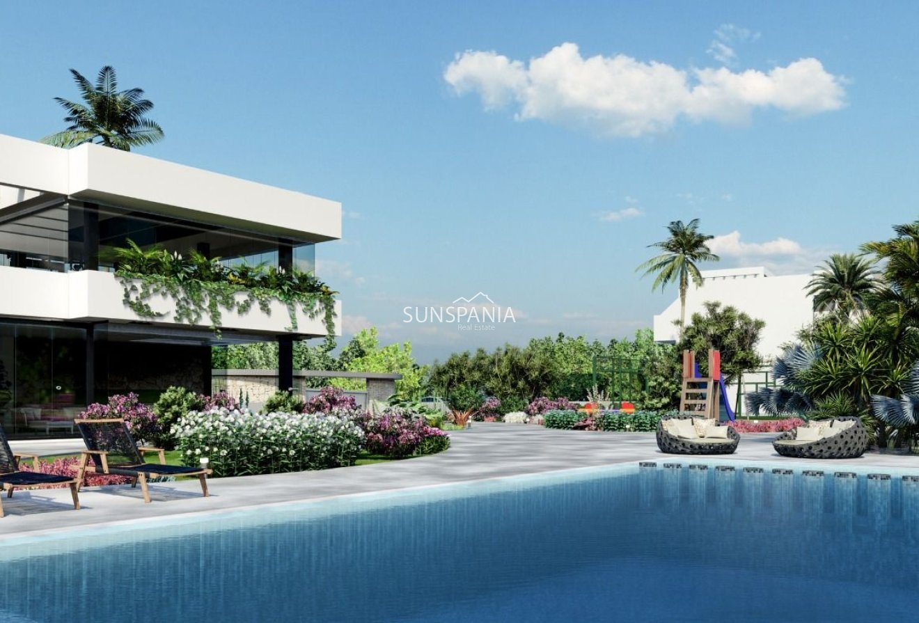 Obra nueva - Piso -
Guardamar del Segura - El Raso