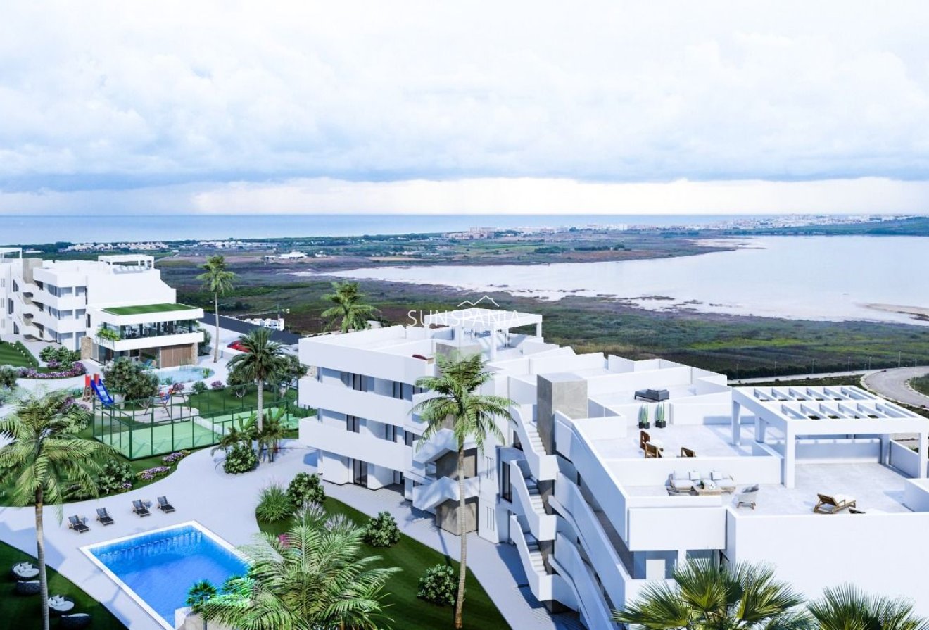 Obra nueva - Piso -
Guardamar del Segura - El Raso