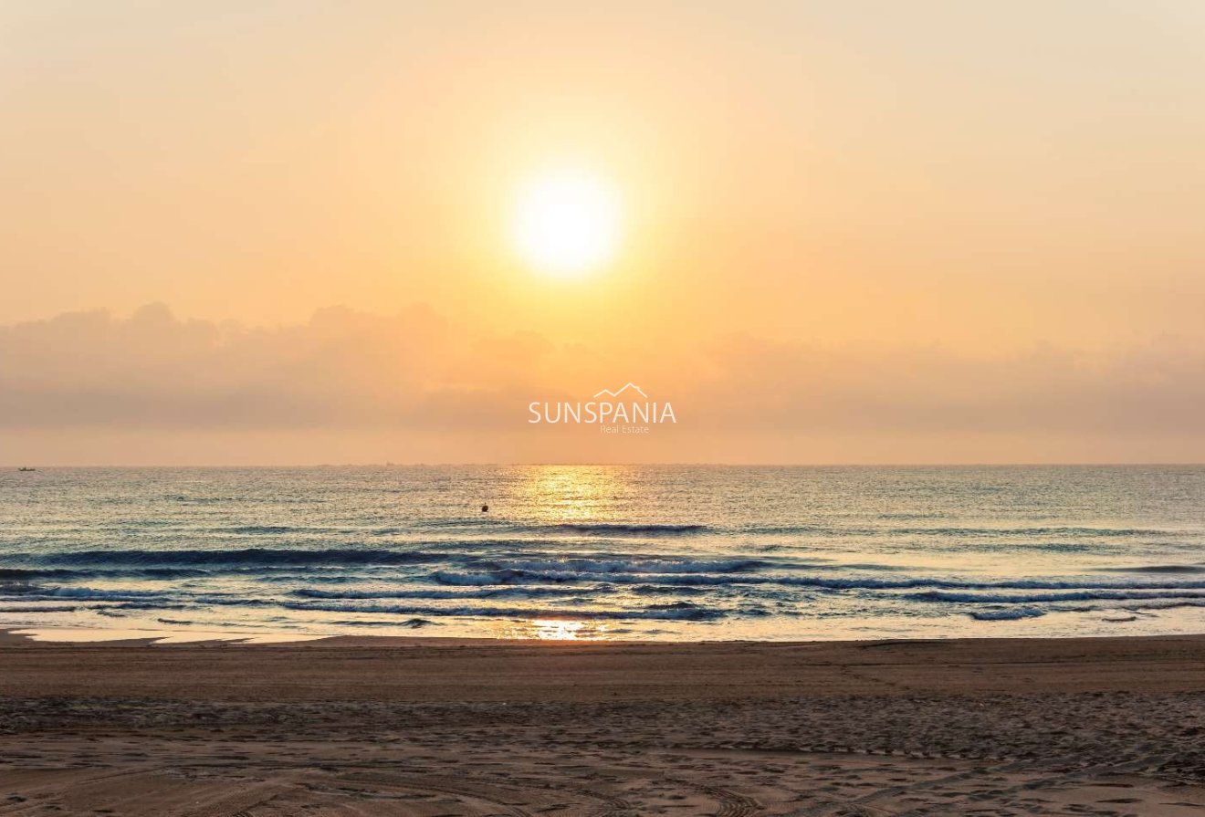 Obra nueva - Piso -
Guardamar del Segura