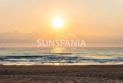 Obra nueva - Piso -
Guardamar del Segura