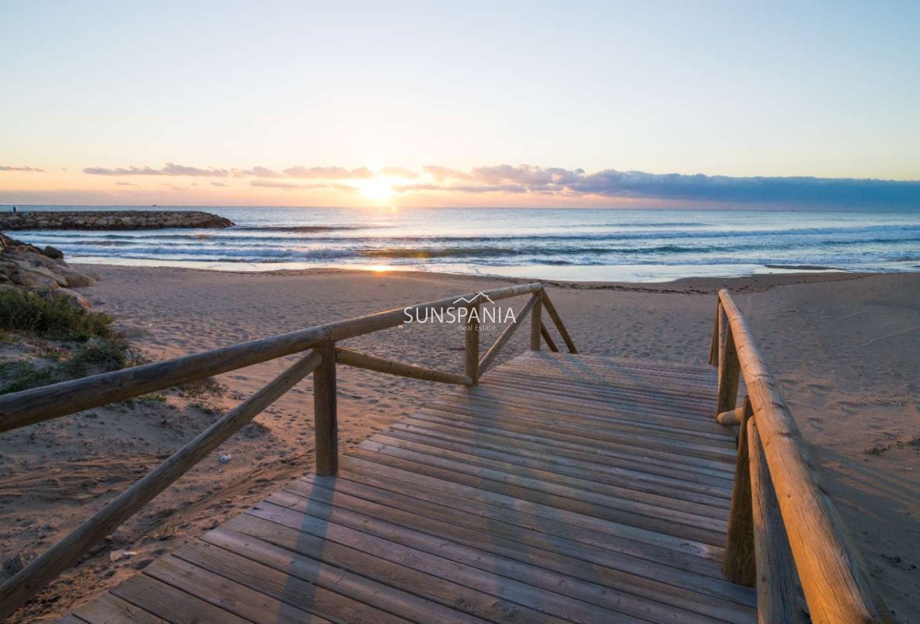 Obra nueva - Piso -
Guardamar del Segura