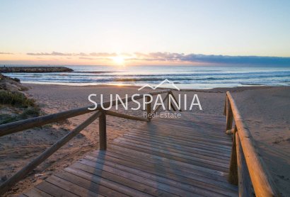 Obra nueva - Piso -
Guardamar del Segura