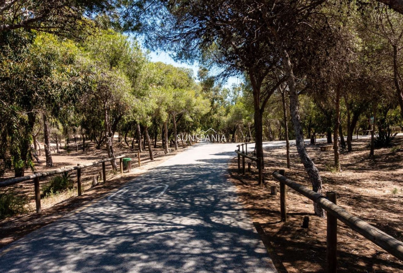 Obra nueva - Piso -
Guardamar del Segura