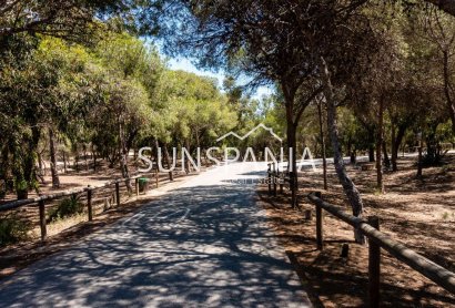 Obra nueva - Piso -
Guardamar del Segura