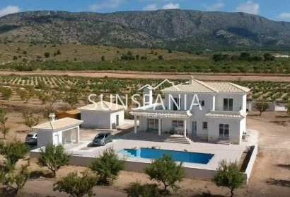 Obra nueva - Chalet -
Pinoso - Camino Del Prado