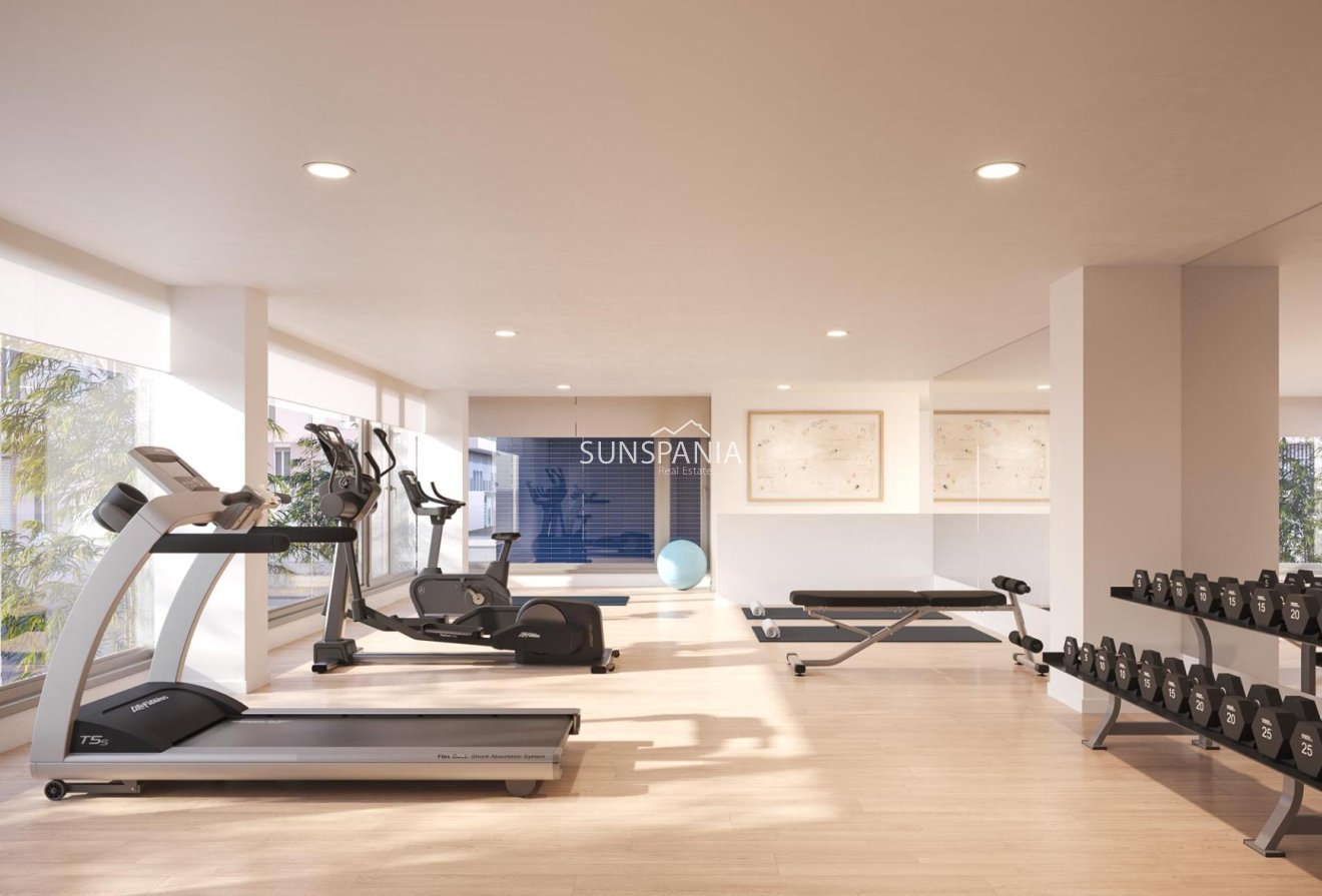 Obra nueva - Piso -
Alicante - Benalua