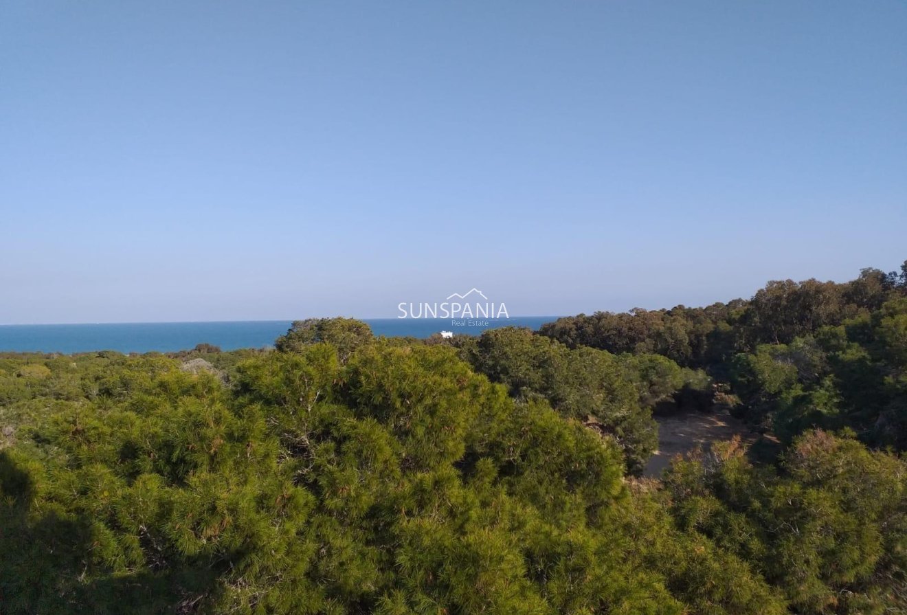 Obra nueva - Piso -
Guardamar del Segura - Pueblo