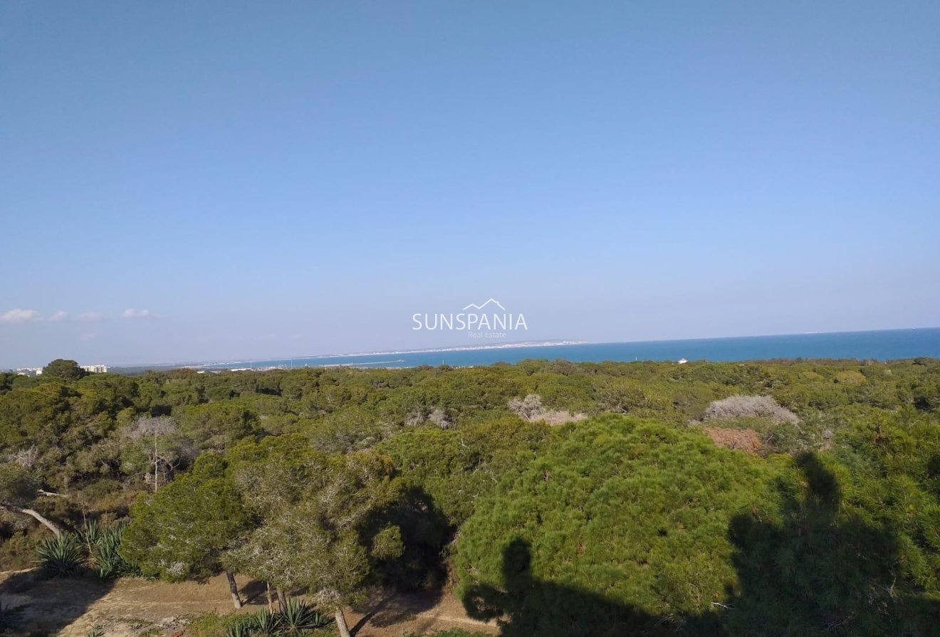 Obra nueva - Ático -
Guardamar del Segura - Pueblo