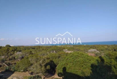 Obra nueva - Ático -
Guardamar del Segura - Pueblo