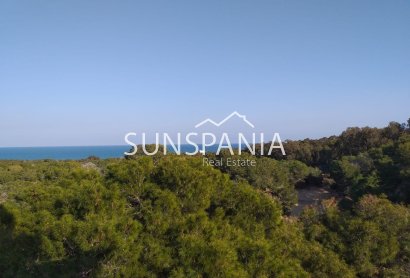 Obra nueva - Ático -
Guardamar del Segura - Pueblo