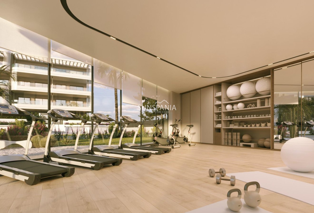 Obra nueva - Ático -
Torrevieja - La Hoya