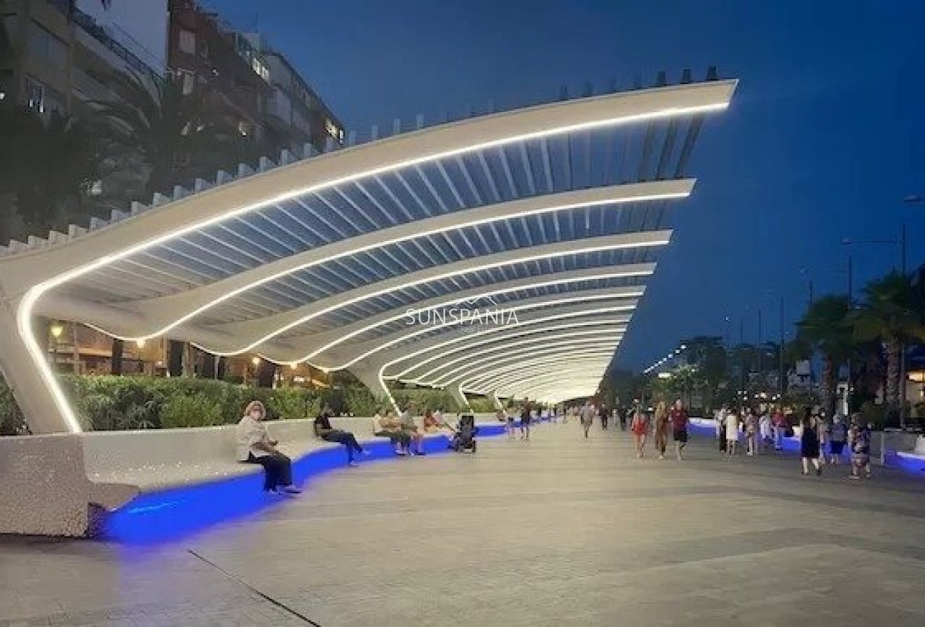 Obra nueva - Piso -
Torrevieja - Lago Jardín II