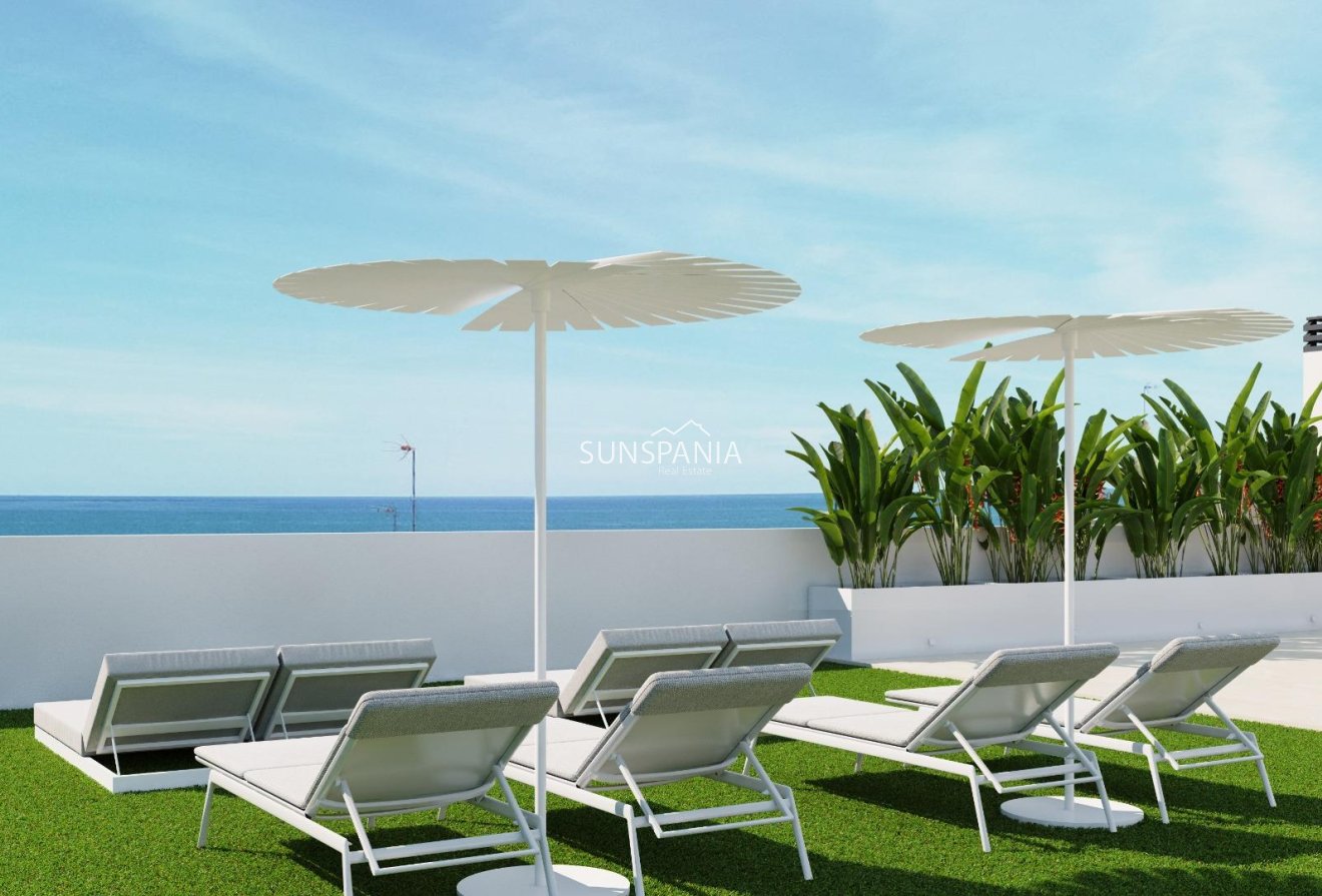 Obra nueva - Piso -
Guardamar del Segura - Pueblo