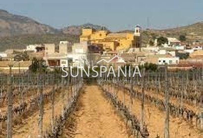 Obra nueva - Piso -
Hondón de las Nieves - El Salero