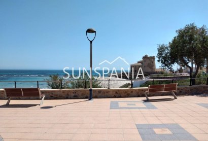 Obra nueva - Chalet -
Pilar de la Horadada - Las Higuericas