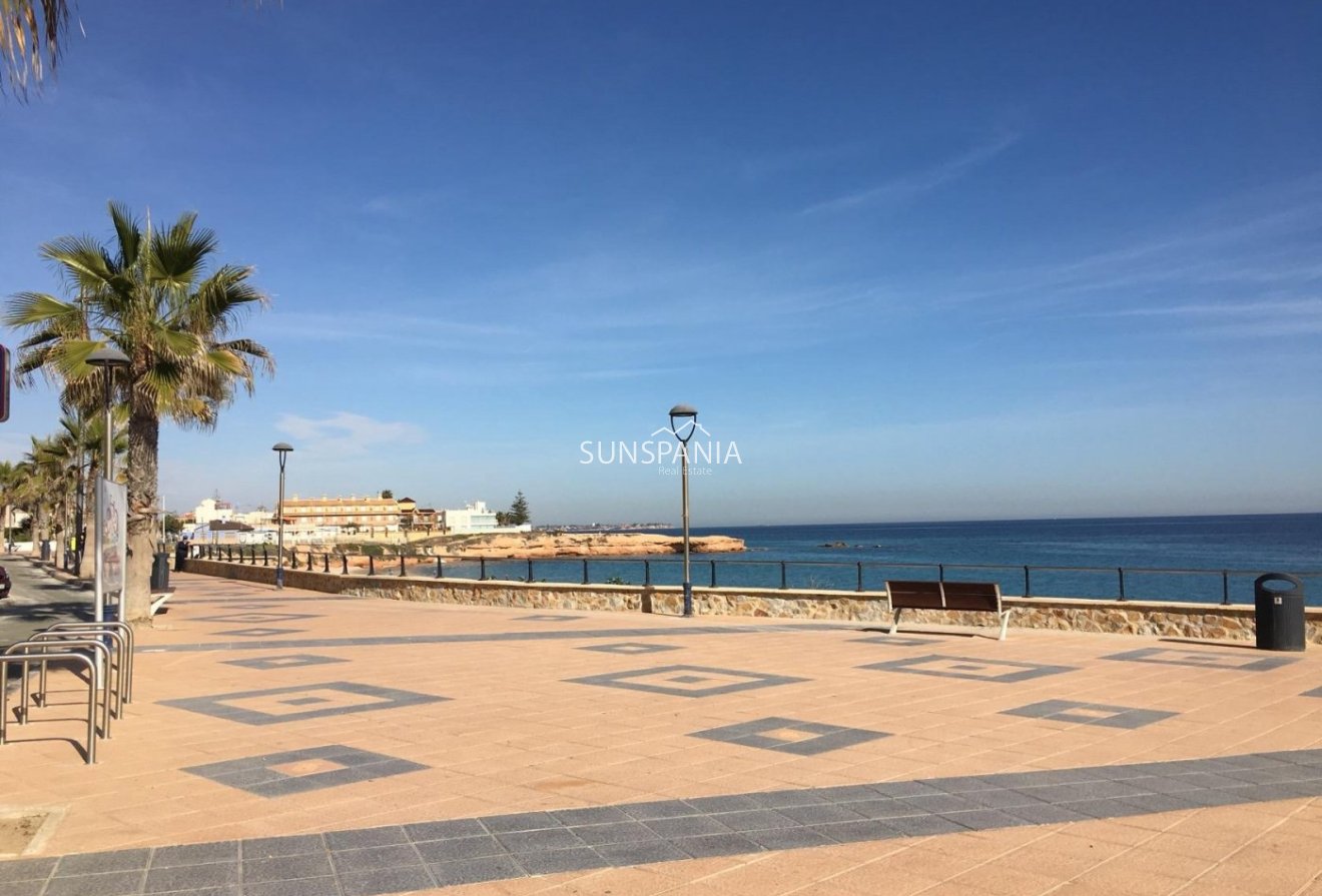 Obra nueva - Chalet -
Pilar de la Horadada - Las Higuericas