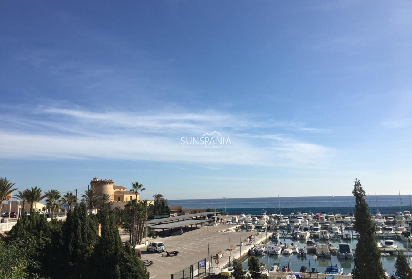 Obra nueva - Chalet -
Pilar de la Horadada - Las Higuericas