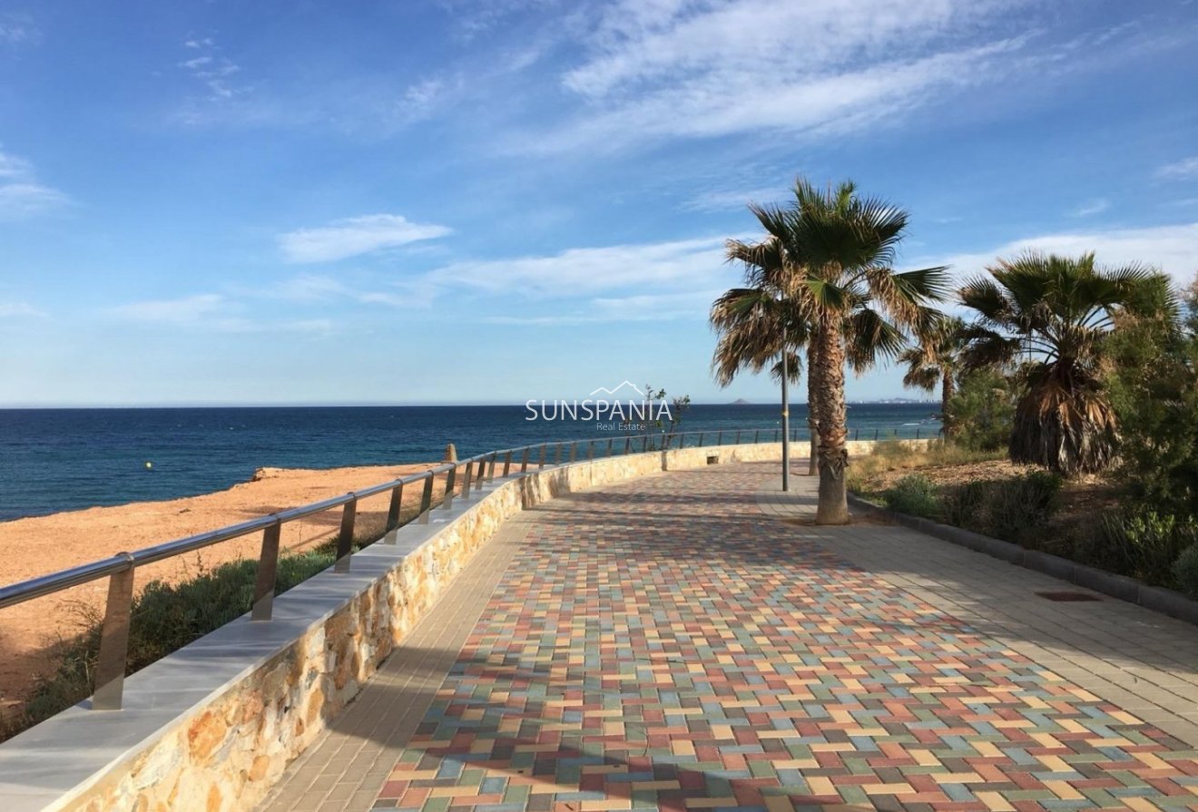 Obra nueva - Chalet -
Pilar de la Horadada - Las Higuericas