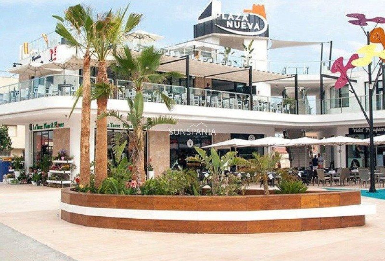 Obra nueva - Chalet -
Pilar de la Horadada