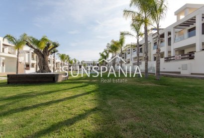 Obra nueva - Piso -
Torrevieja - Los Balcones