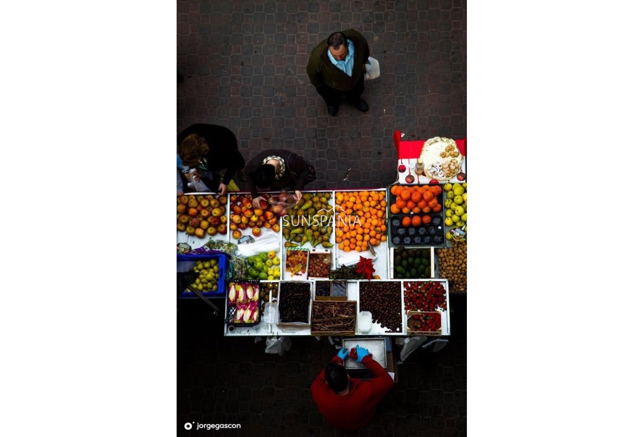 Obra nueva - Adosado -
Dolores - Sector 2