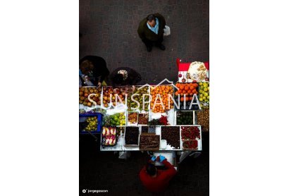 Obra nueva - Adosado -
Dolores - Sector 2